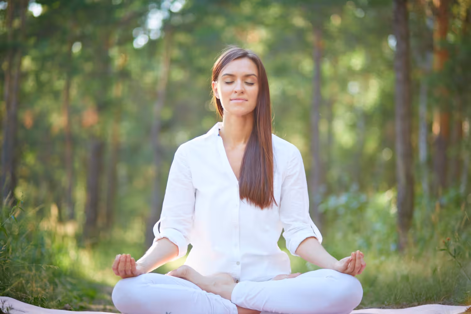 Why Do You Need Meditation